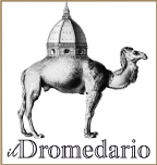 Il Dromedario